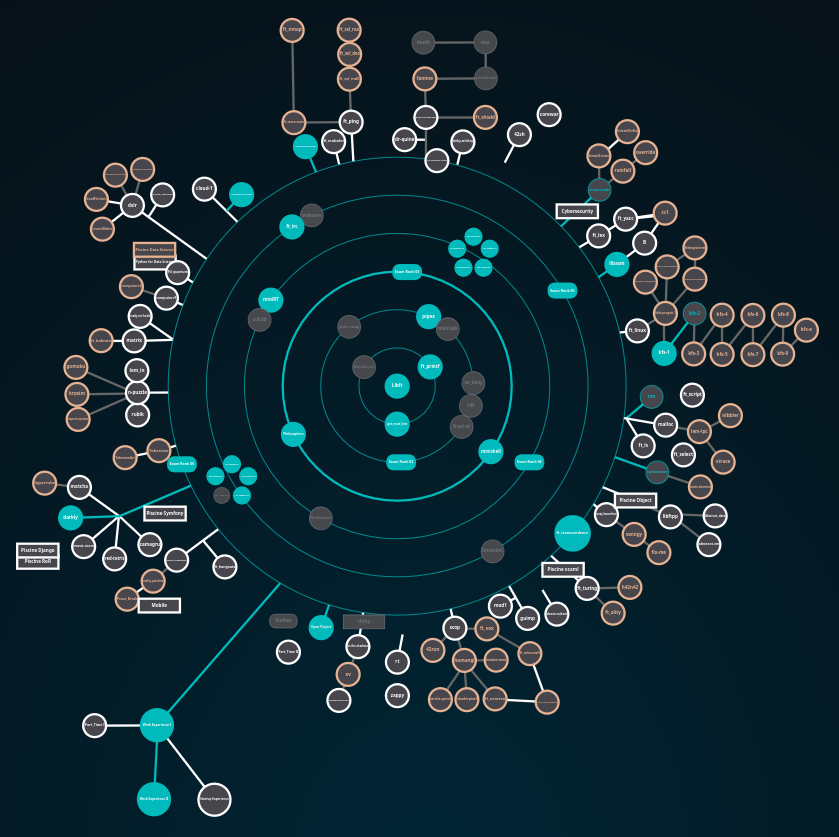 Screenshot of the project graph