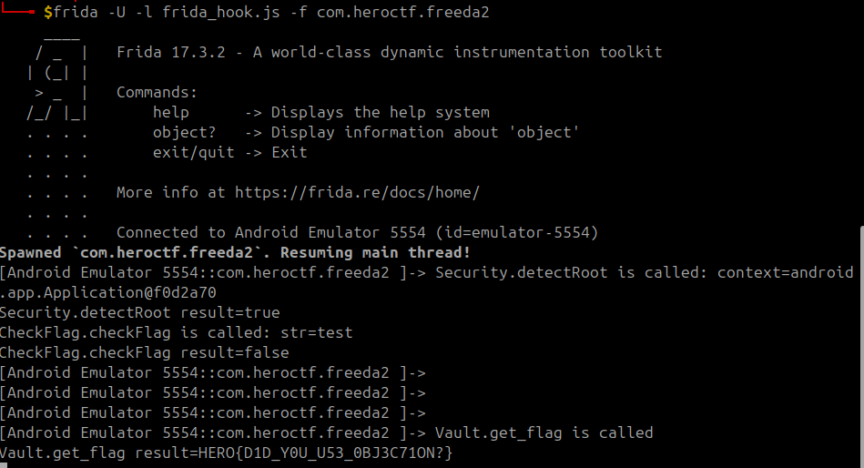 Terminal screenshot showing the flag