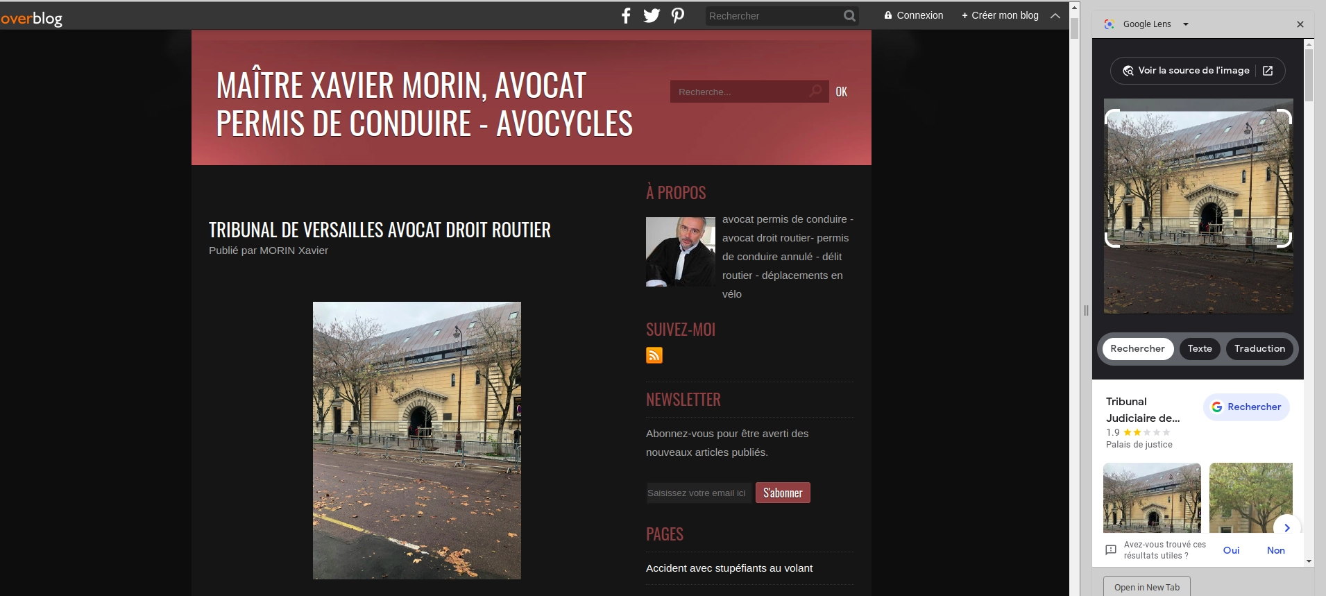 Screenshot of Google Lens result